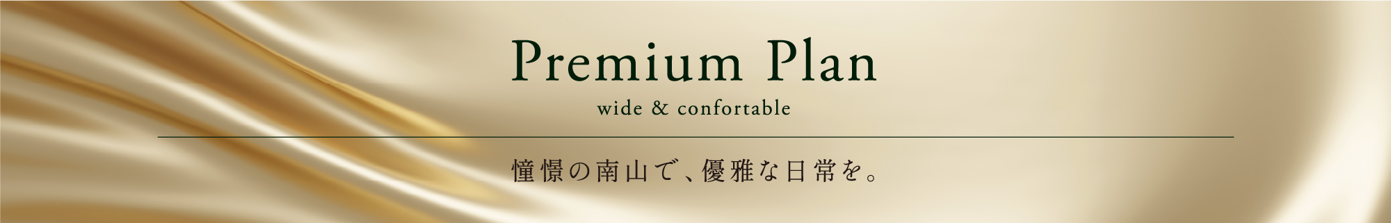 Premium Plan