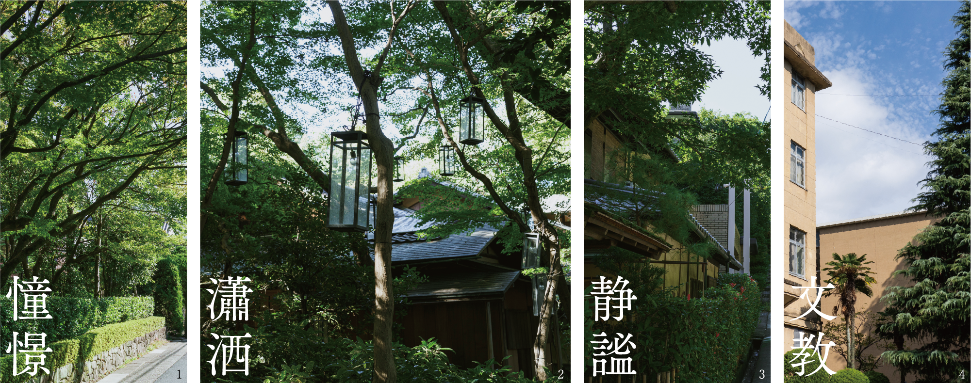 憧憬 瀟洒 静謐 文教