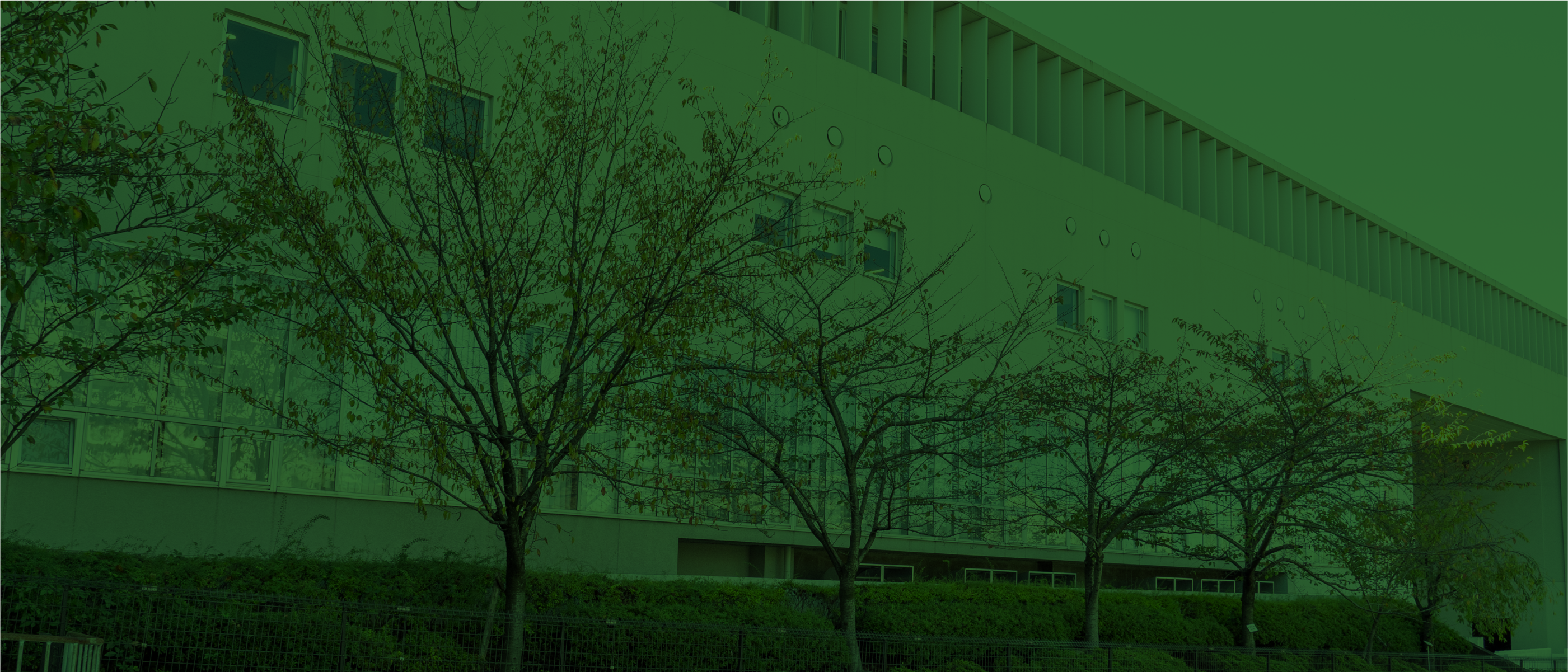 南山 ロケーション